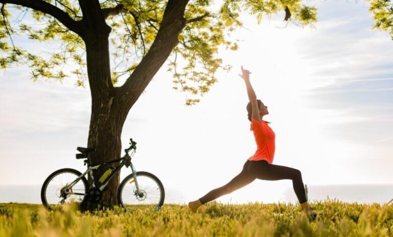 cropped-3-108-780x470-1